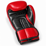 Katsudo mănuși de box Champion IV, roșii