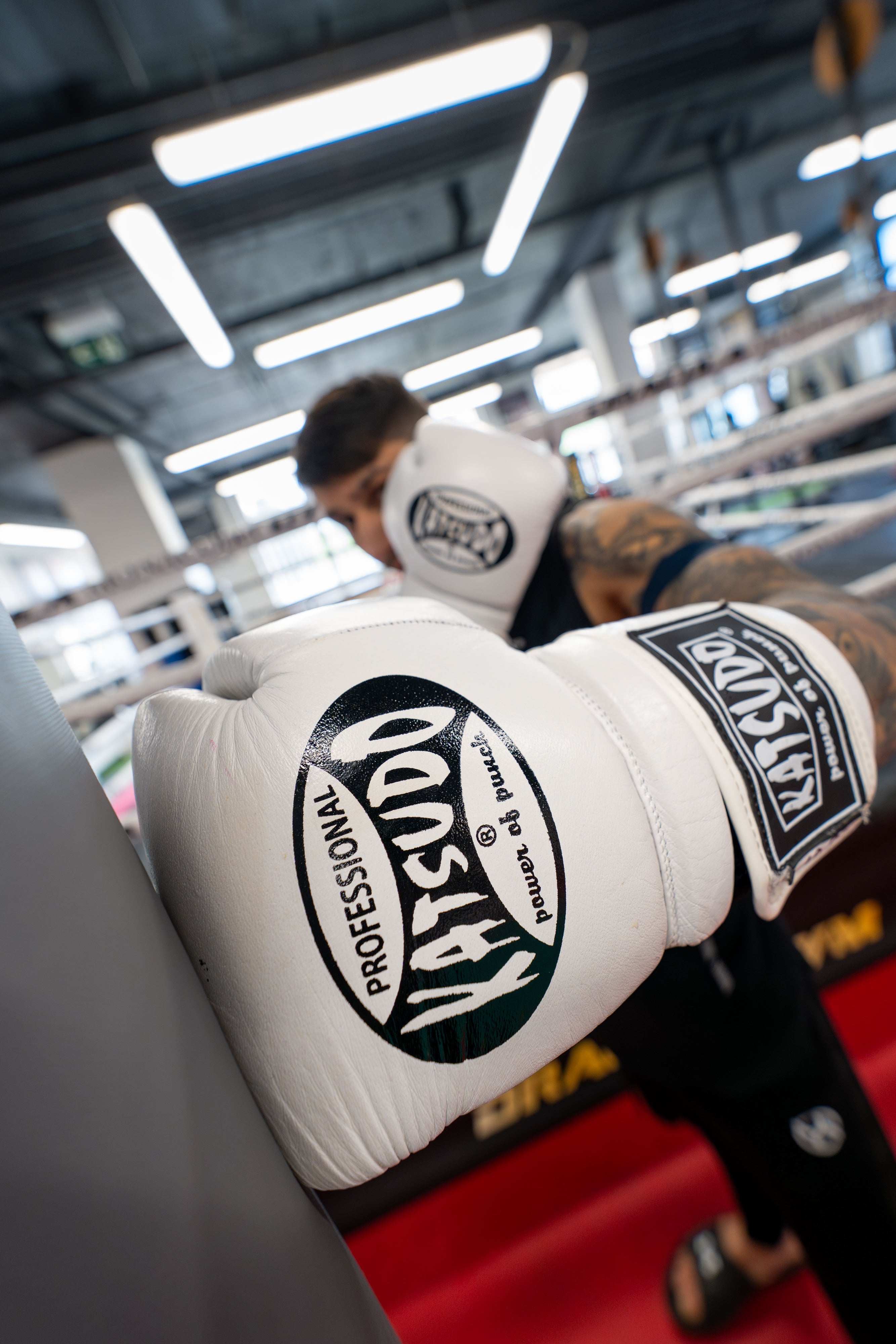 Katsudo mănuși de box Profesional, albe