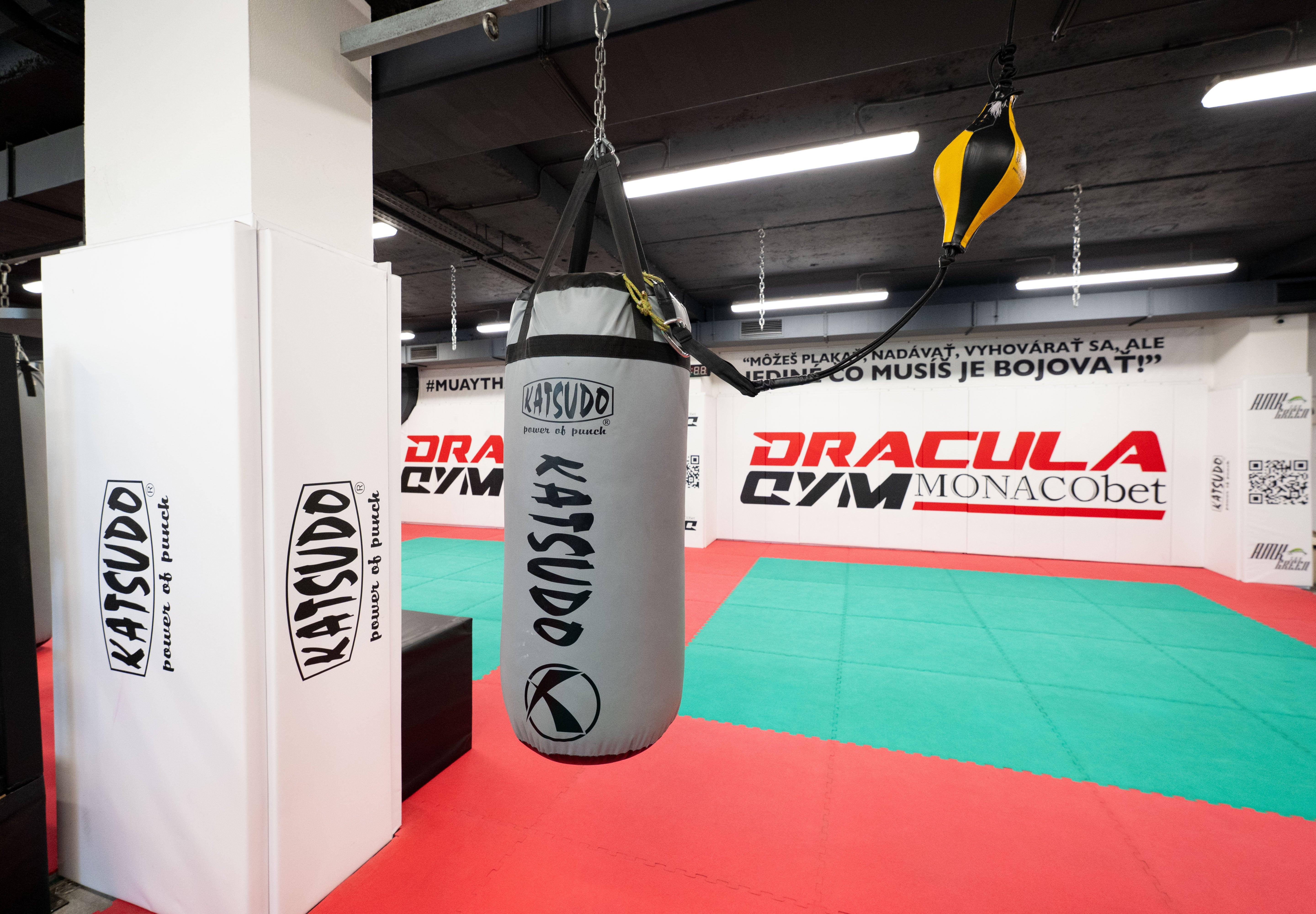 Katsudo sac de box Big boy Pro Boxing, gri