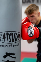 Katsudo mănuși de box Profesional, roșii