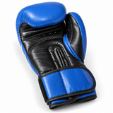 Katsudo mănuși de box Champion IV, albastre