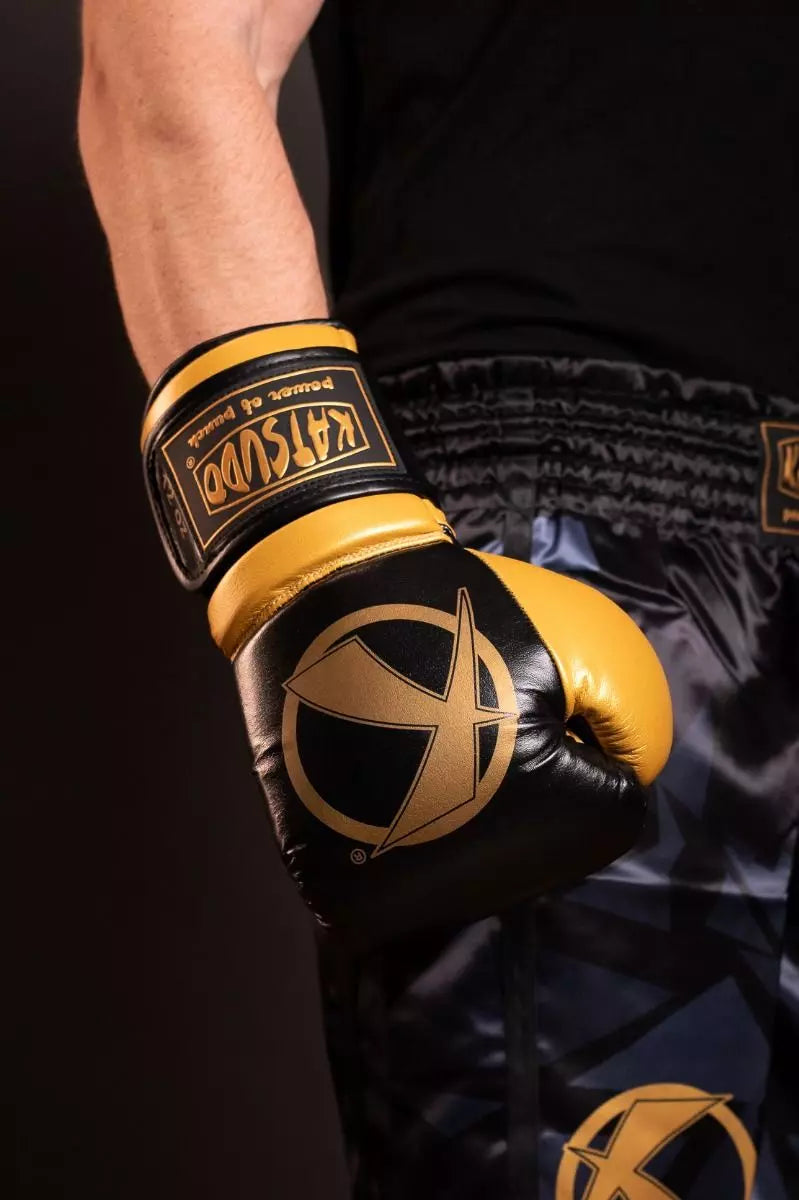 Katsudo mănuși de box Fight, negru-auriu