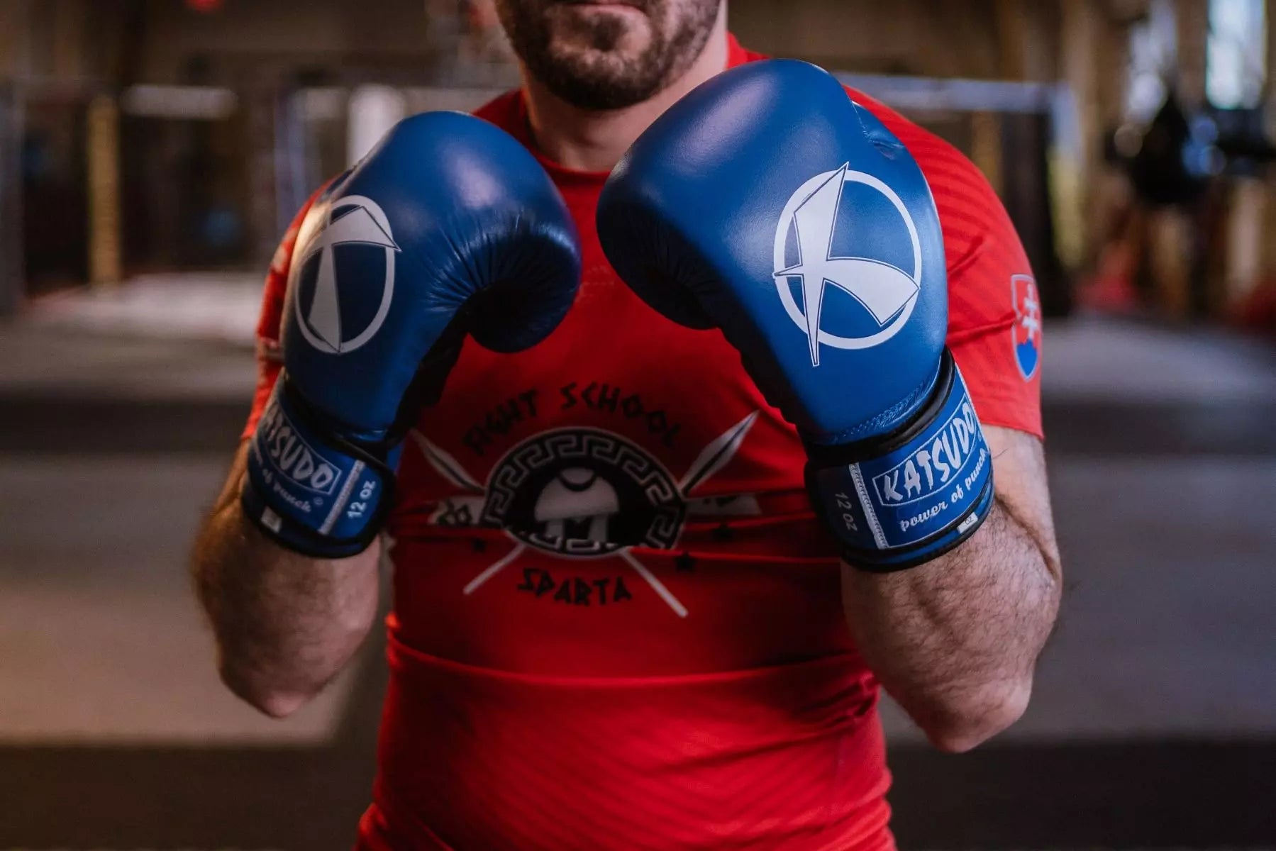 Katsudo mănuși de box Punch II, albastre